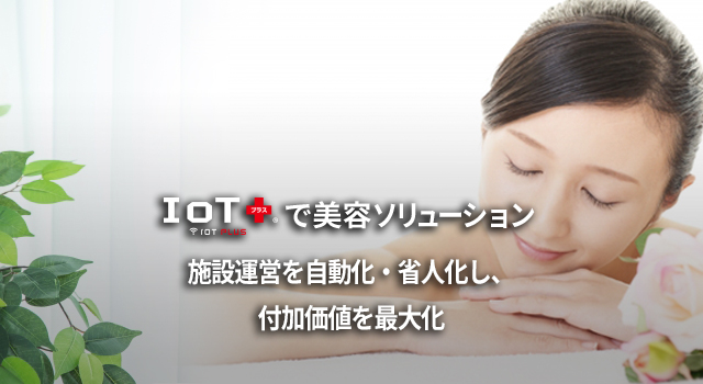 美容ソリューション